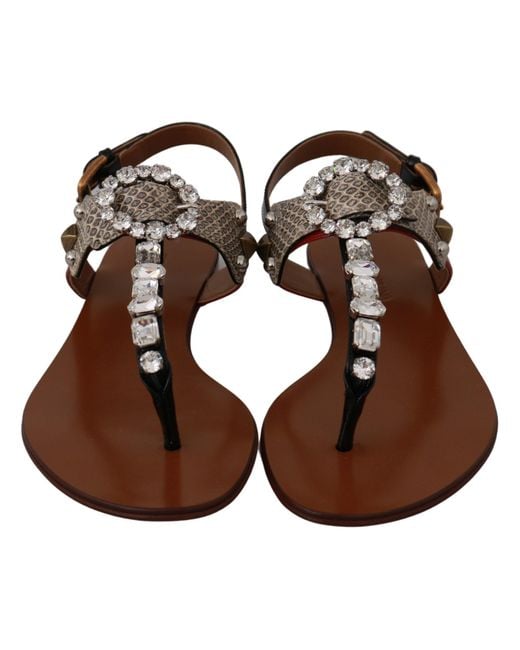 Dolce & Gabbana Leather Ayers Crystal Sandal Brown La6458