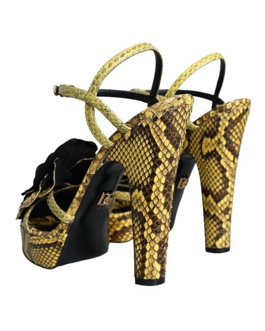 Dolce & Gabbana Yellow Exotic Leather Ankle Strap Heels Sandals Shoes Python