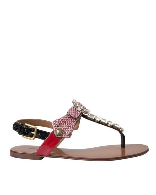Dolce & Gabbana Brown Flat Sandals
