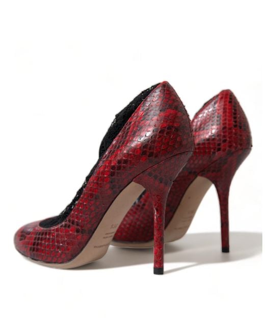 Dolce & Gabbana Red Almond Toe Snakeskin Pumps With Lace Socks