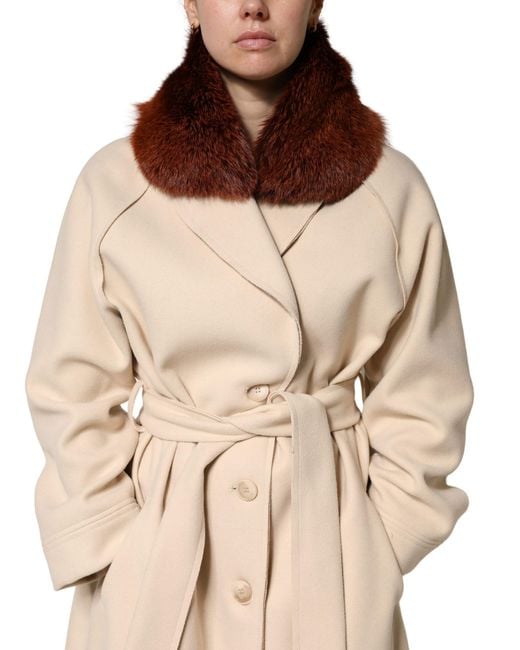Dolce & Gabbana Brown Mink Fur Collar Neck Wrap 60Cm X 14Cm Scarf