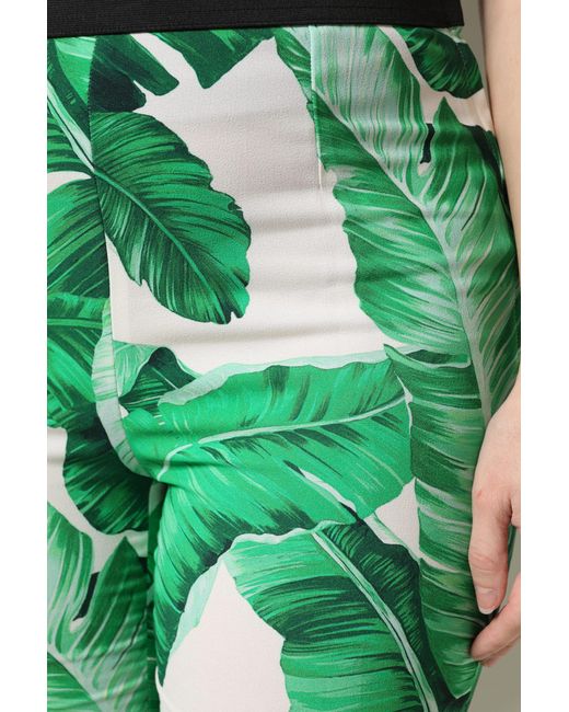 Dolce & Gabbana Green Leaf High Waist Pants
