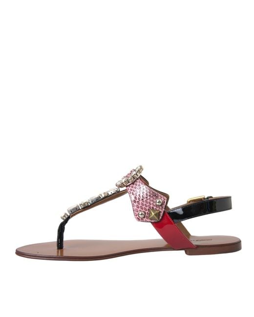 Dolce & Gabbana Brown Flat Sandals