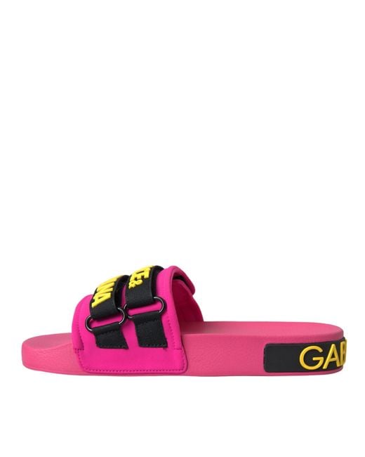Dolce & Gabbana Pink Cw0115-Ak243-Fuxia
