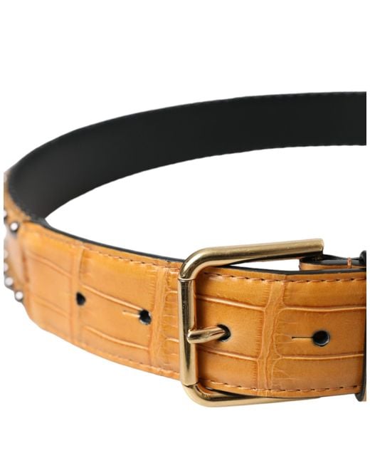 Dolce & Gabbana Natural Alligator Leather Studded Metal Buckle Belt