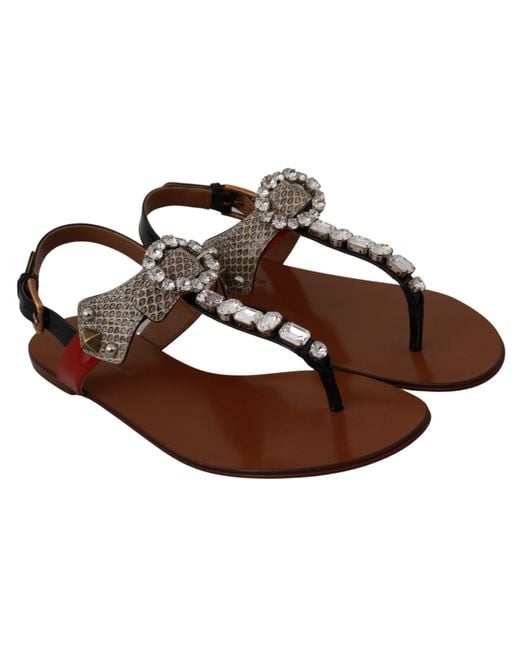 Dolce & Gabbana Leather Ayers Crystal Sandal Brown La6458