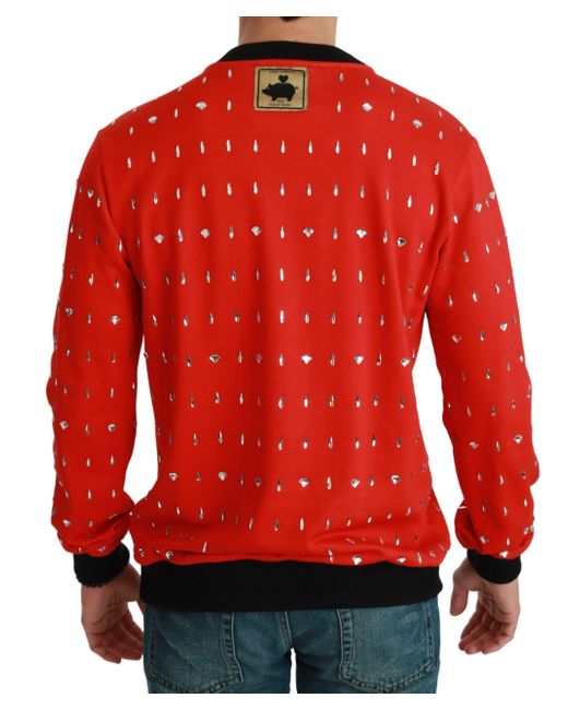 Dolce & Gabbana Red Crystal Pig Of The Year Sweater for men