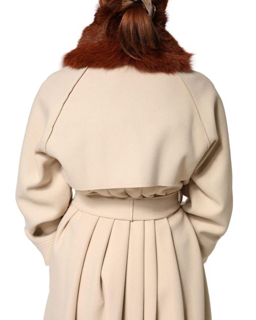 Dolce & Gabbana Brown Mink Fur Collar Neck Wrap 60Cm X 14Cm Scarf