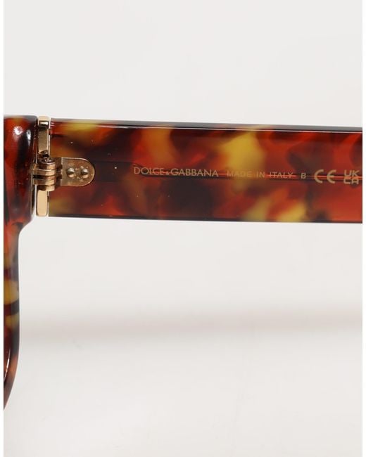 Dolce & Gabbana Brown Dg4338F Havana Full Rim Round Lenses Sunglasses
