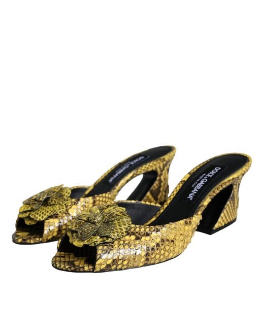 Dolce & Gabbana Yellow Leather Block Heels Slides Shoes Python