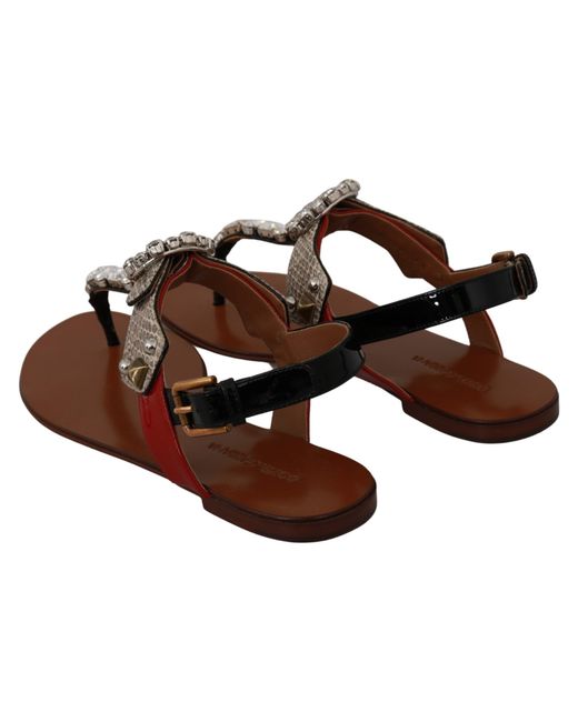 Dolce & Gabbana Leather Ayers Crystal Sandal Brown La6458