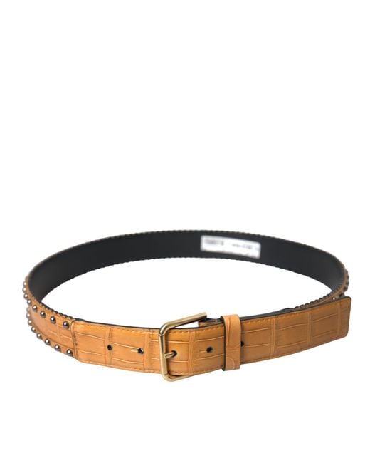 Dolce & Gabbana Natural Alligator Leather Studded Metal Buckle Belt