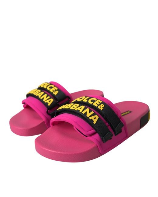 Dolce & Gabbana Pink Cw0115-Ak243-Fuxia