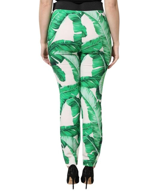 Dolce & Gabbana Green Leaf High Waist Pants