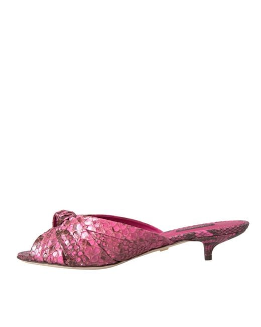 Dolce & Gabbana Red Exotic Leather Kitten Heels Slides Shoes Python