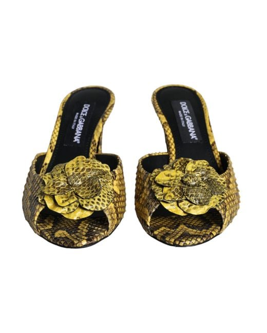 Dolce & Gabbana Yellow Leather Block Heels Slides Shoes Python