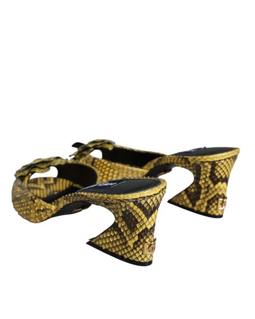 Dolce & Gabbana Yellow Leather Block Heels Slides Shoes Python