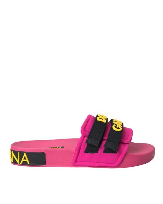Dolce & Gabbana Pink Cw0115-Ak243-Fuxia