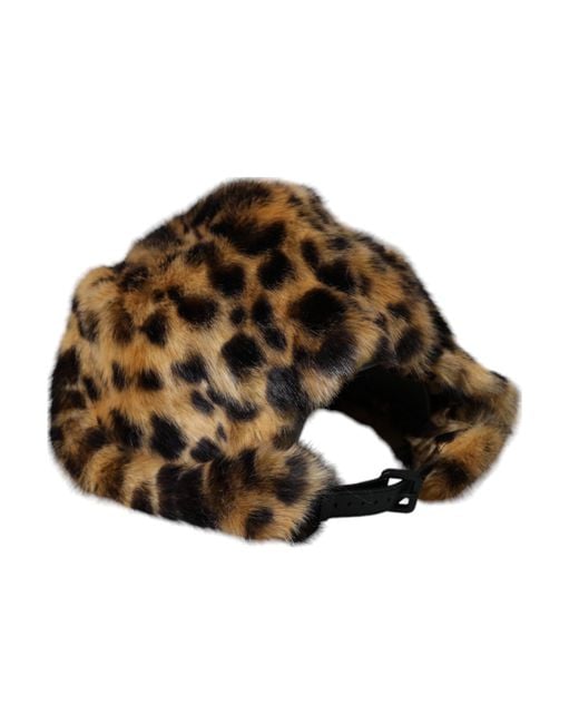 Dolce & Gabbana Brown Accessories