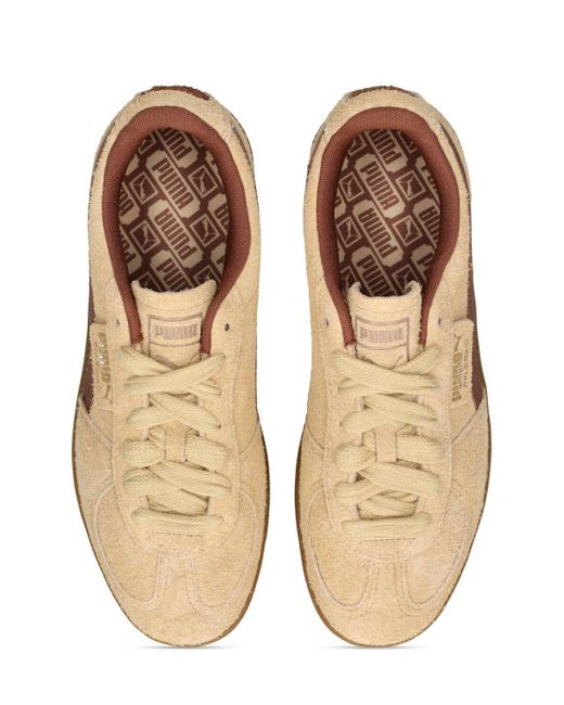 PUMA Brown Palermo Hairy Sneakers for men