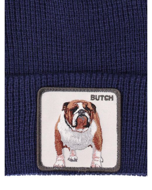 Goorin Bros Blue Hot diggity Dog Knit Beanie for men