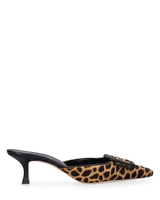 Manolo Blahnik Multicolor Mules Maysalebi 50 aus Kalbshaar