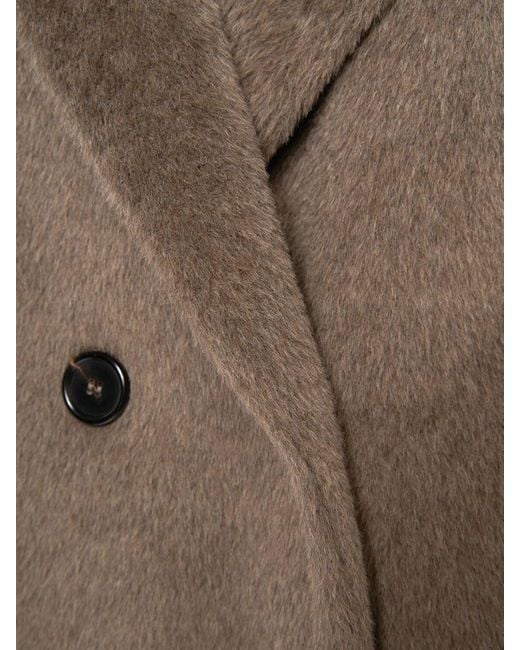 Max Mara Brown Roseto Wool Teddy Short Coat