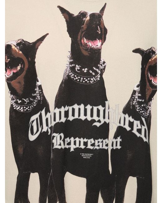 Represent T-shirt "thoroughbred" in Black für Herren
