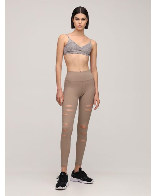 Alosoft lounge bra Clearance