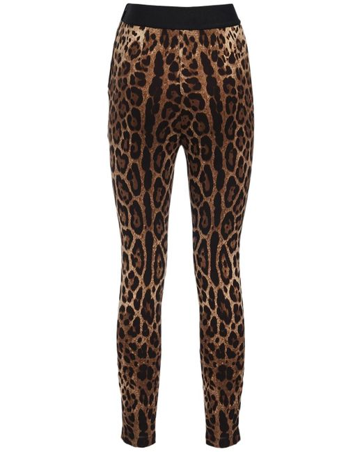 Dolce & Gabbana Brown Leggings Aus Jersey Mit Leopardendruck