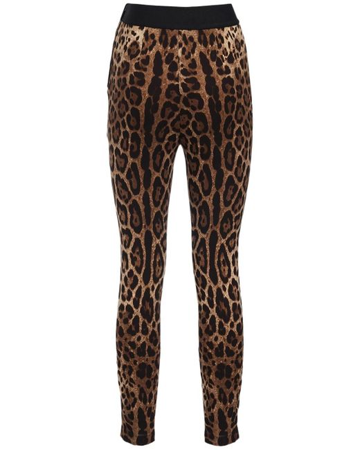 Dolce & Gabbana Brown Leggings Aus Jersey Mit Leopardendruck