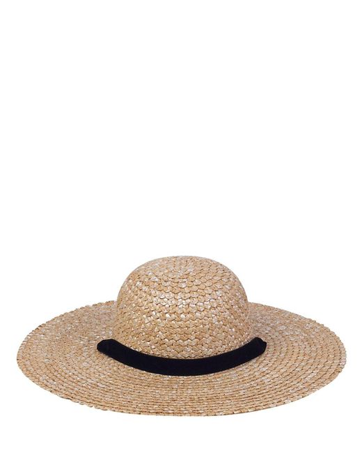 Lack of color aus Clearance