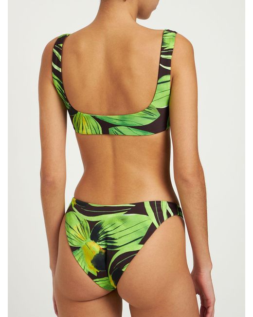 Louisa Ballou Green Scoop Printed Bikini Top