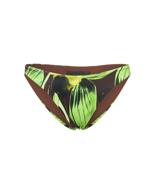 Louisa Ballou Green Scoop Printed Bikini Bottom