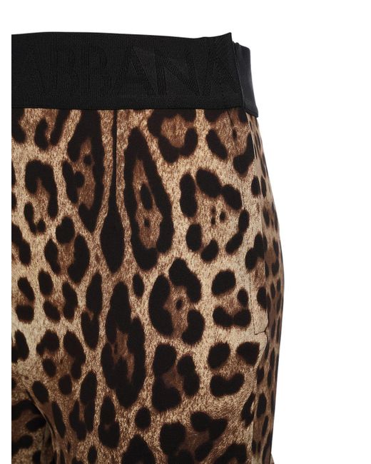 Dolce & Gabbana Brown Leggings Aus Jersey Mit Leopardendruck