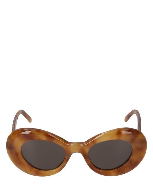 Loewe Brown Curvy Acetate Sunglasses