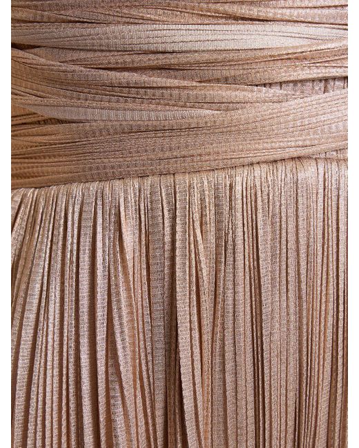 Maria Lucia Hohan Natural Smaranda Foiled Silk Tulle Long Dress