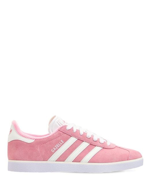 gazelle cor de rosa