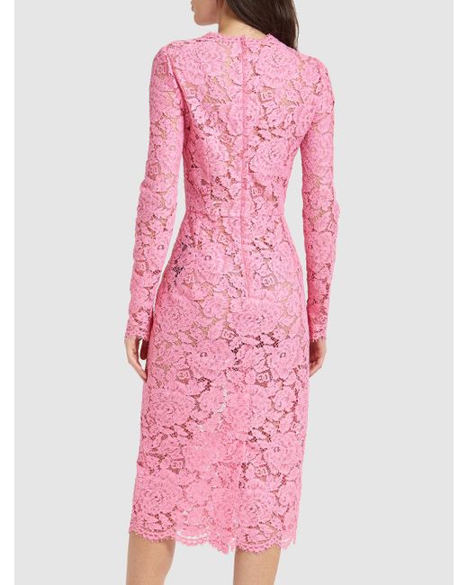 Dolce & Gabbana Floral & Dg ストレッチレースミディドレス Pink