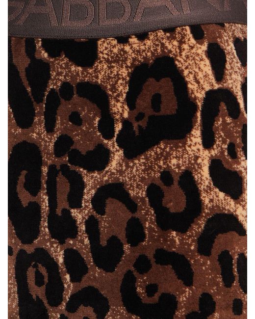 Leopard print chenille leggings - Dolce & Gabbana - Women