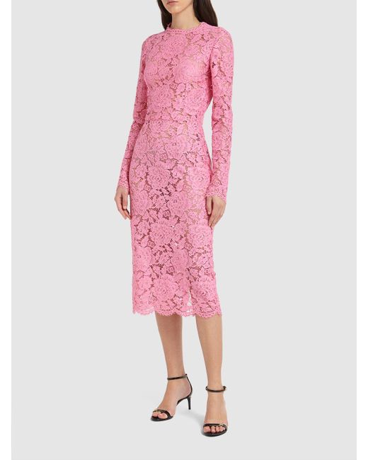 Dolce & Gabbana Pink Floral & Dg Stretch Lace Midi Dress
