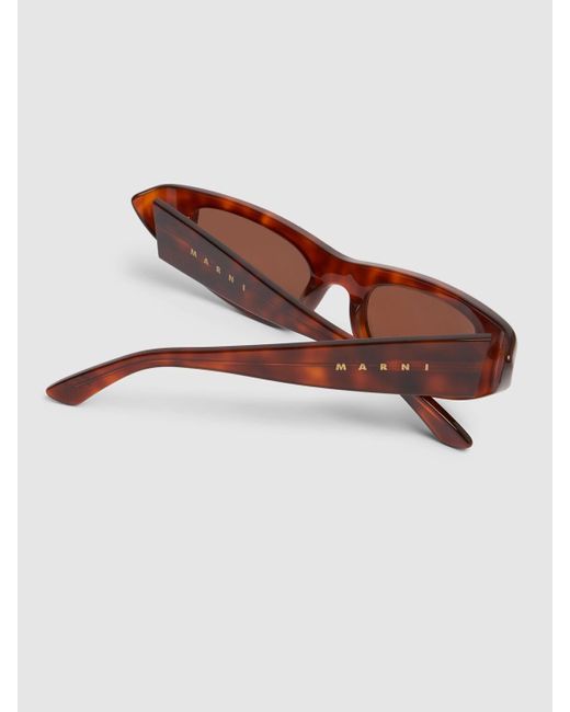 Marni Brown Netherworld Cat-eye Sunglasses