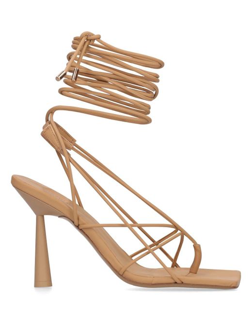 gia rhw rosie