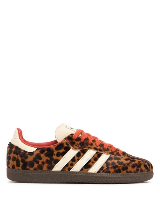 Adidas Originals Samba Og スニーカー Brown