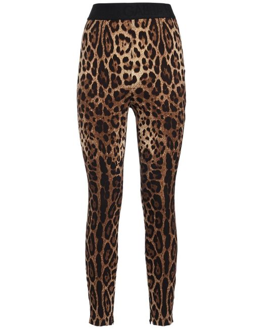 Dolce & Gabbana Brown Leggings Aus Jersey Mit Leopardendruck