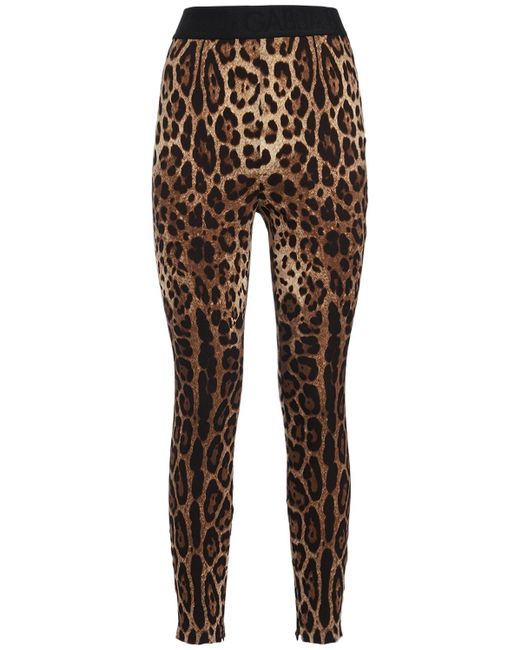Legging en jersey imprimé léopard Dolce & Gabbana en coloris Brown