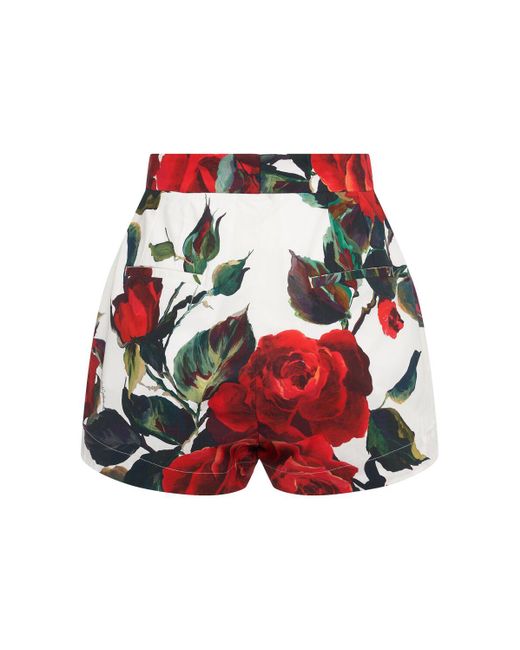Dolce & Gabbana Rose ポプリンショートパンツ Red
