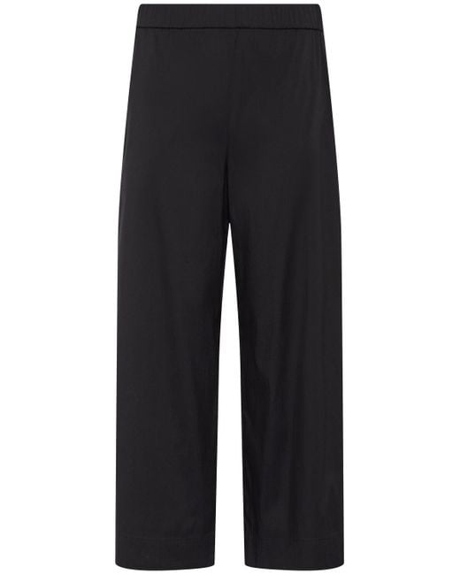Mujer Pantalones De Algodón Max Mara de color Blue