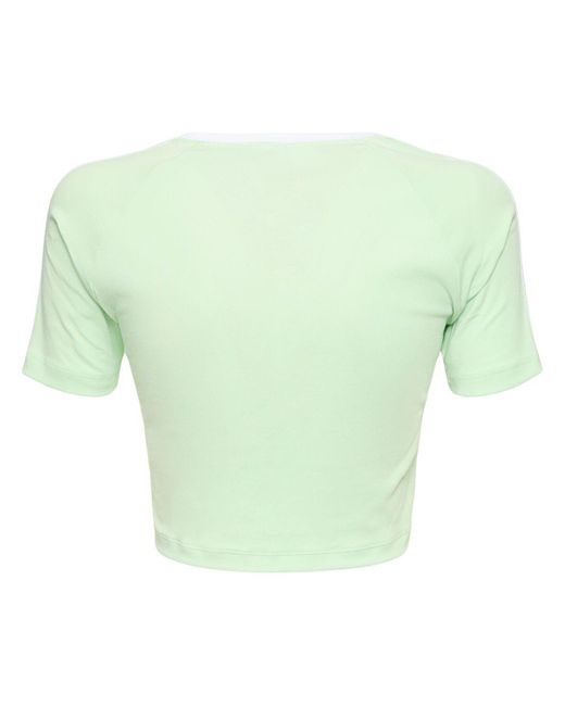 Adidas Originals 3 Stripes Tシャツ Green