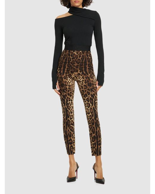 Dolce & Gabbana Brown Leggings Aus Jersey Mit Leopardendruck